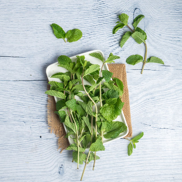 Mint Leaves 100 g Combo