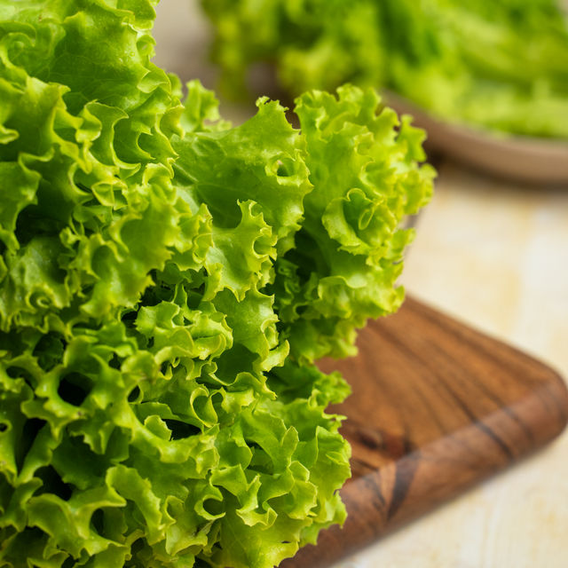 Lettuce Green
