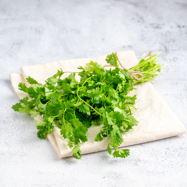 Coriander leaves without roots
