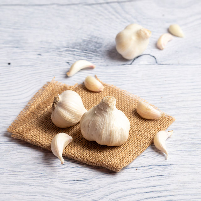 Garlic
