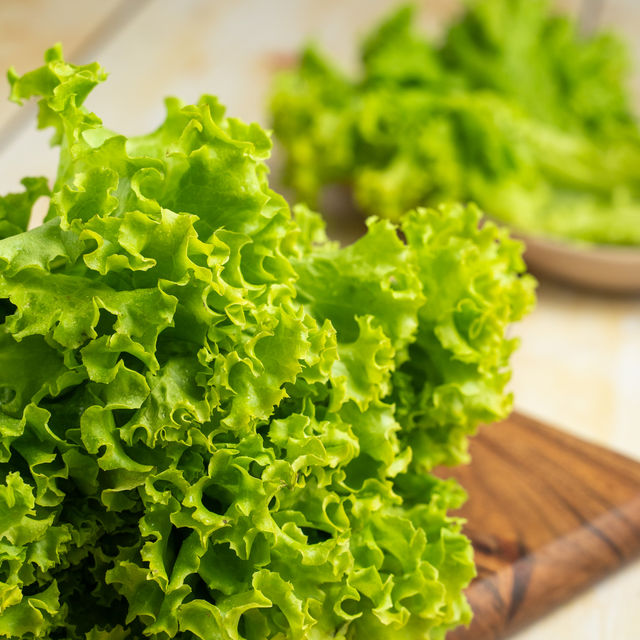 Lettuce Green