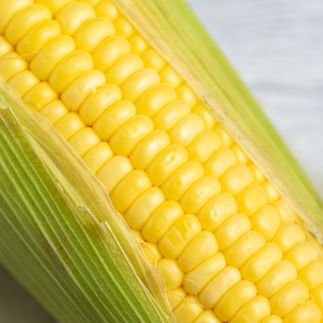 Sweet Corn