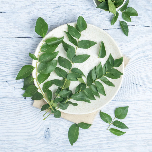 Curry Leaves - Cleaned, without roots
