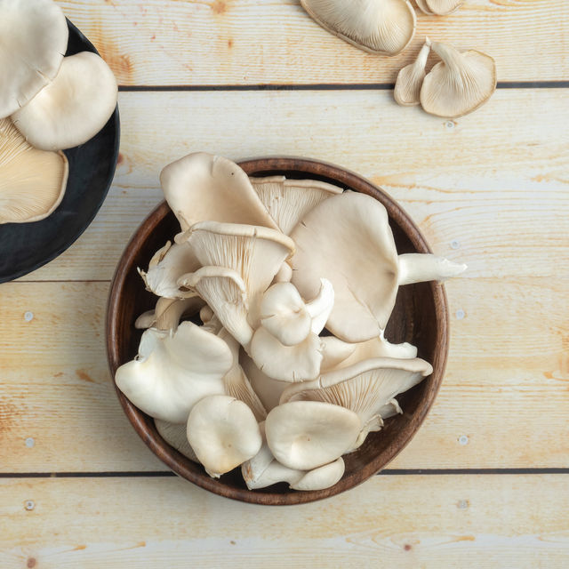 Mushroom Oyster