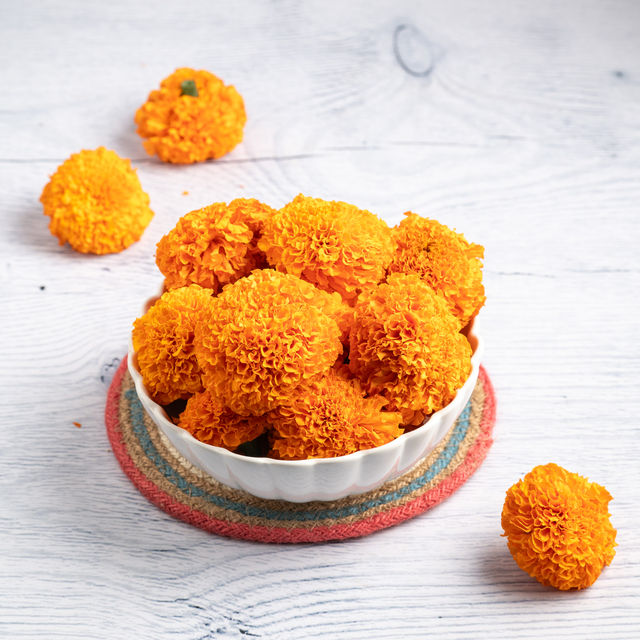 Marigold Orange Flower