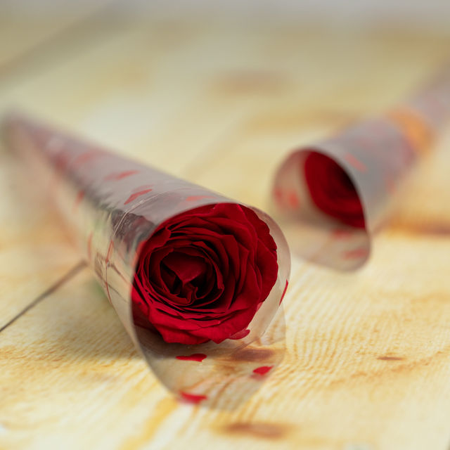 Red Rose