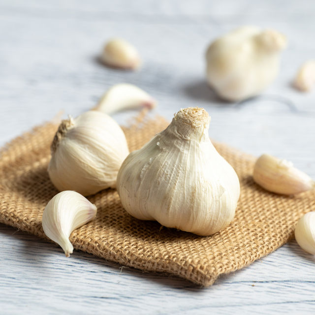 Garlic