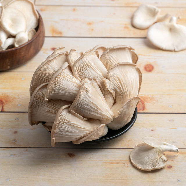 Mushroom Oyster