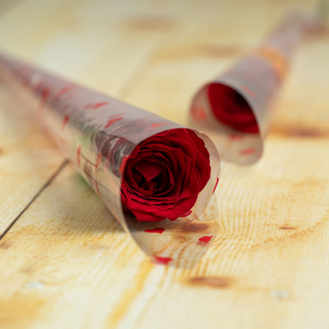 Red Rose