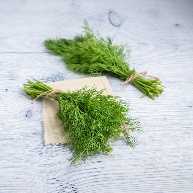 Dill Leaves (Soya Saag) - Cleaned, without roots 100 g Combo