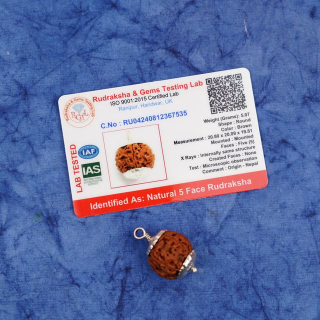 Servdharm 5 Mukhi Rudraksha Pendant