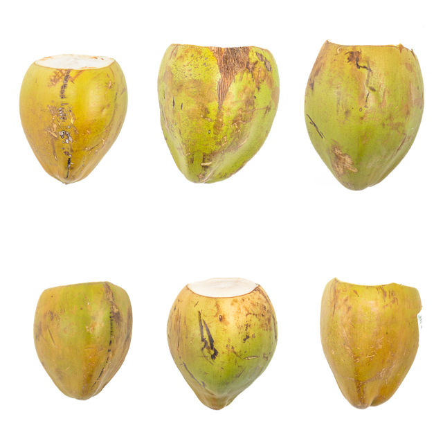 Tender Coconut 1 pc Combo