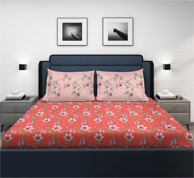 Superspun 120 Tc-Cotton Rich-Easy Home- Dbl- 220 x 240- D:23119 - Assorted