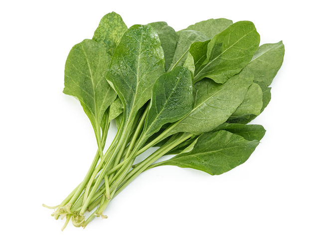 Hydroponic Spinach