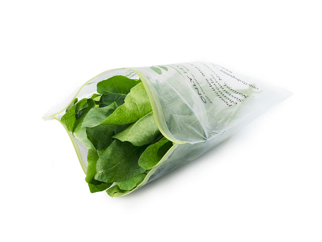 Hydroponic Spinach