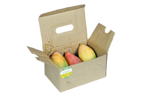 Mango Totapuri