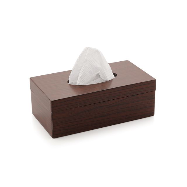 Liza Industries Alpine Big |Napkin Holder Box (Colour May Vary)