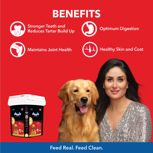 Drools Chicken And Egg Adult Dry Dog Food Inside Container