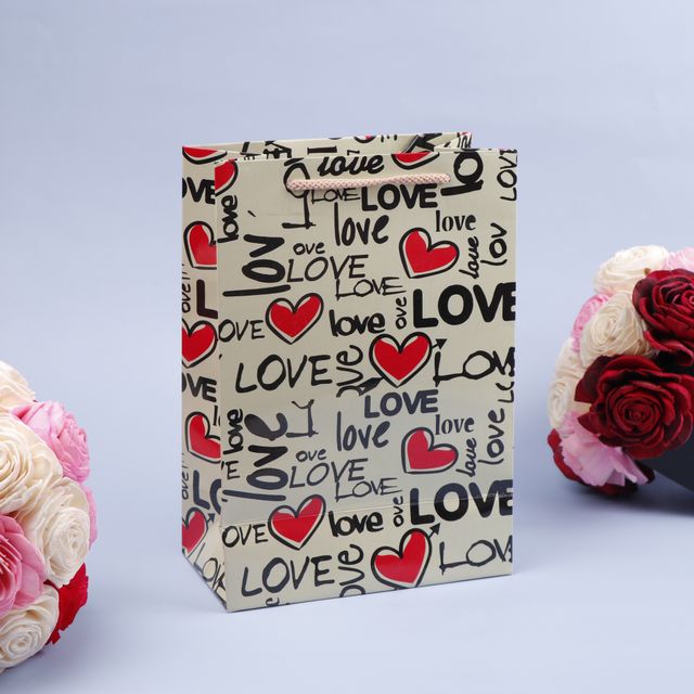 Archies Lovely Gifting Bag Small Pack of 2