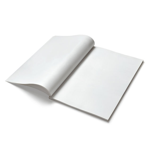Classmate 29.7 x 21 cm Unruled Notebook | 240 Pages - Assorted