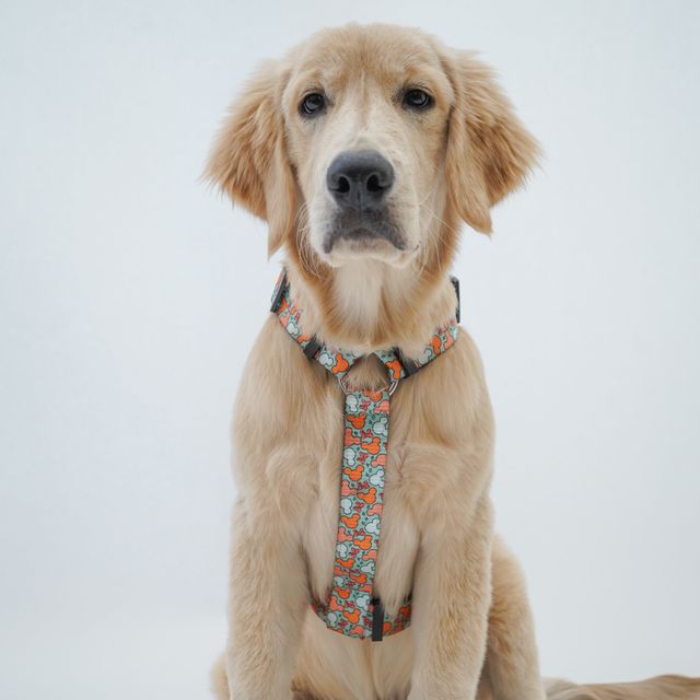 Pawgy Pets H-Harness Mickey Pastel Green For Dogs And Cats| S
