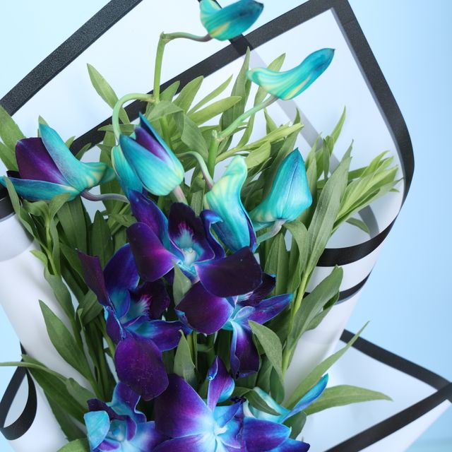 Floweraura Orchids In White Paper (1pc) & Chocolate Mousse Cake (1pc) Combo