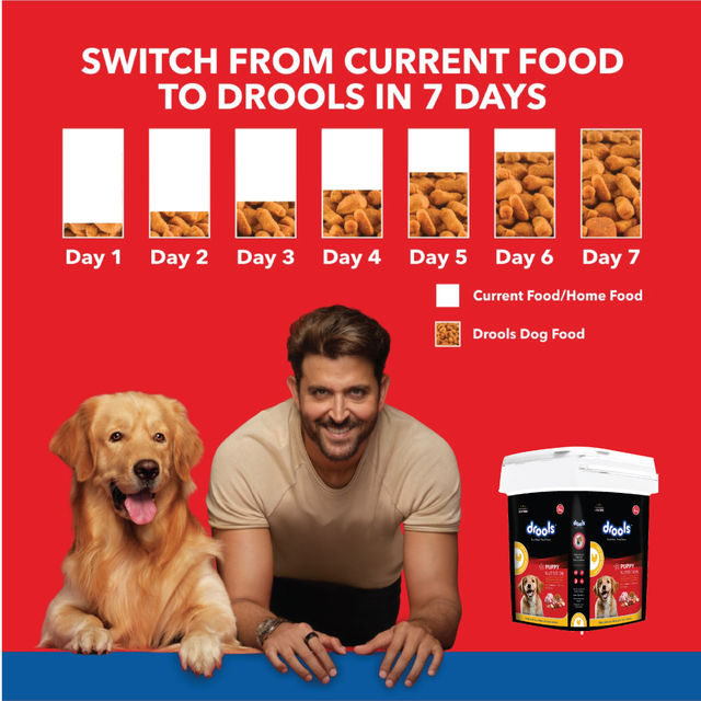 Drools Chicken And Egg Puppy Dry Dog Food Inside Container
