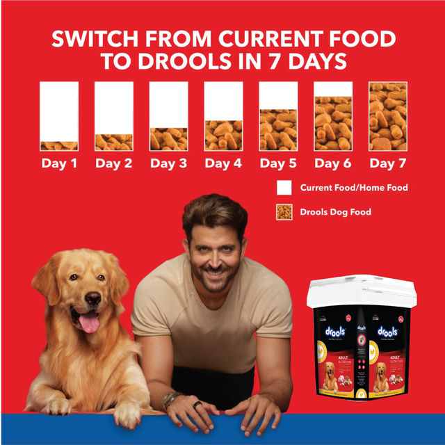 Drools Chicken And Egg Adult Dry Dog Food Inside Container
