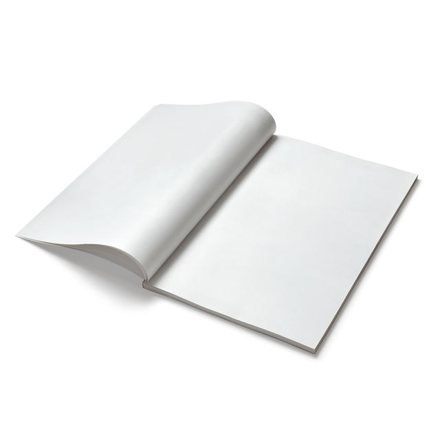 Classmate Notebook - 240 X 180 mm, 172 Pages, Unruled - Assorted Designs