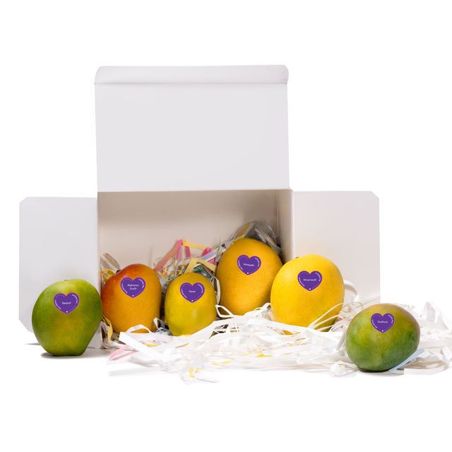 Mango Assorted Trial Box