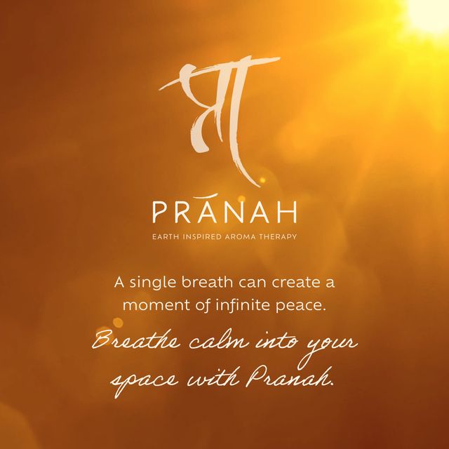 Pranah Cosmic Vibes | Suryakriya | Incense Sticks | 30 Sticks