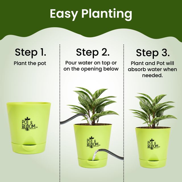 Pot And Bloom 4 Inch Self Watering Pot - White