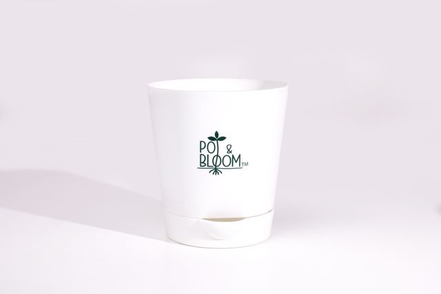 Pot And Bloom 4 Inch Self Watering Pot - White