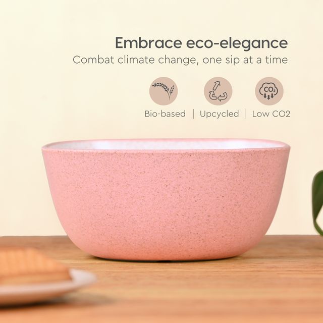 Eha Earth-Friendly Small Soup Bowls Without Spoons | 300 ml | Set Of 4 | Multi-Light