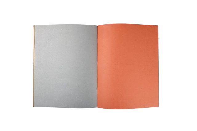 Doms Scrap Book (28 X 22 Cm, 120 Gsm, Assorted, 32 Pages