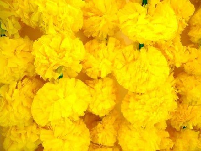 b8e58ac3-fac0-4ed5-8d00-2376417c26e4.jpg