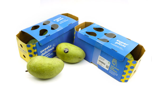 Superplum Premium Chausa Mango