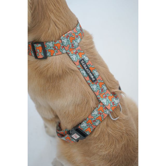 Pawgy Pets H-Harness Mickey Pastel Green For Dogs And Cats| S