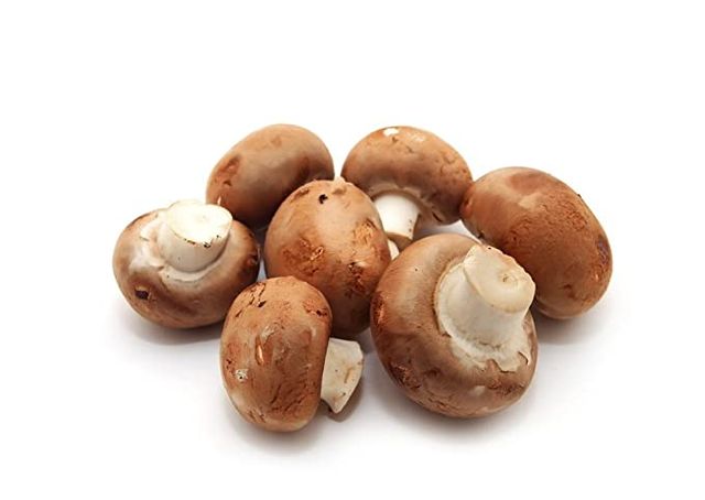 Mushroom Cremini
