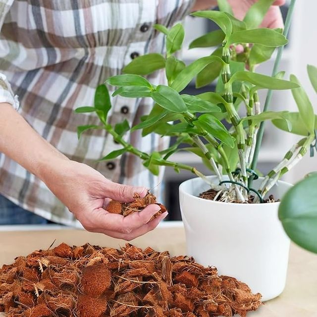 Gardens Coir Loose Husk Chips for Hydroponic Plants - Home Gardening