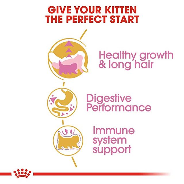 Royal Canin Persian Kitten