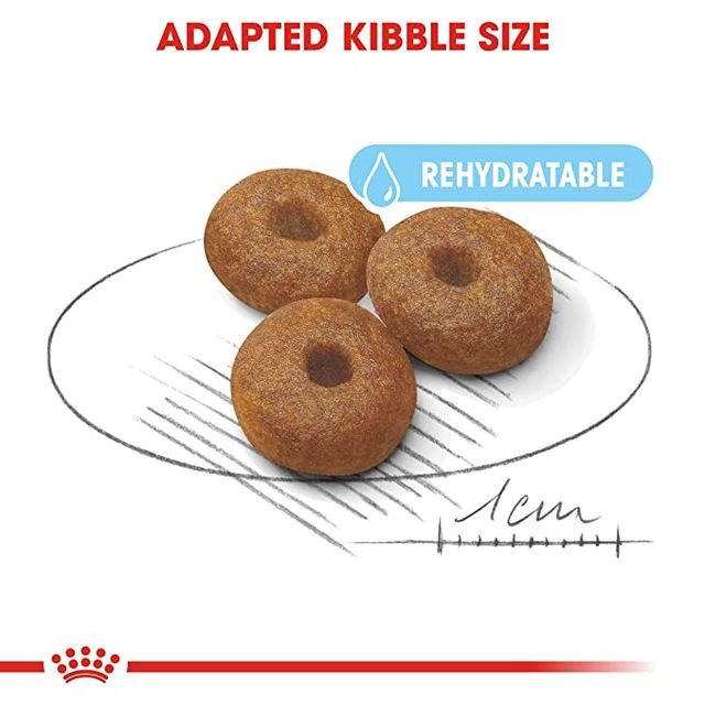 Royal Canin Maxi Starter