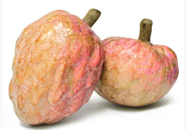Ramphal