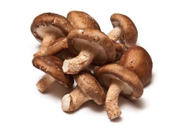 Mushroom Shitake