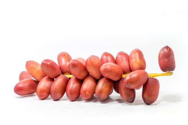 Fresh Red Dates