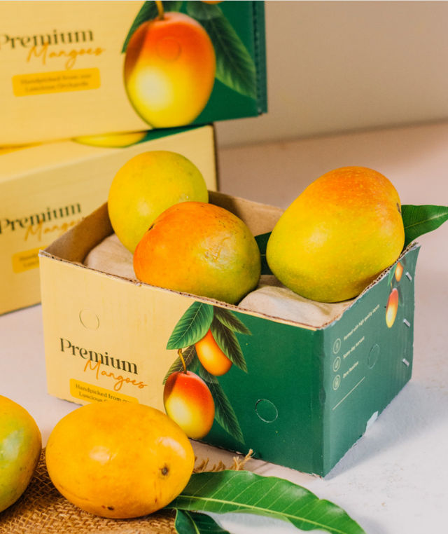 Organic Mango Badami By Gourmet Garden