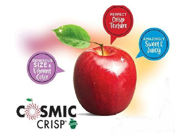 Cosmic Crisp Apple