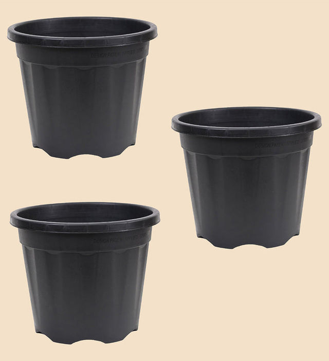 Ugaoo Garden Plastic Pots For Indoor Plants (8 Inch, Black Color Set Of 3) Plant Container Set