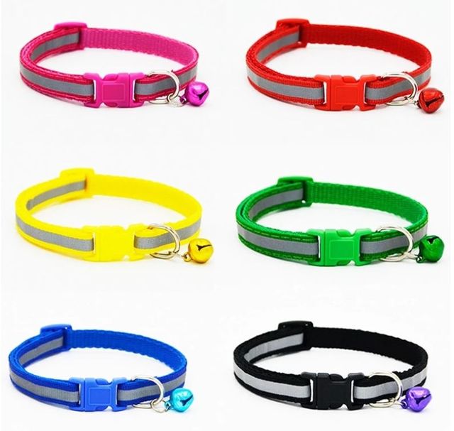 Nootie Puppy Collar 15MM (Color May Vary)