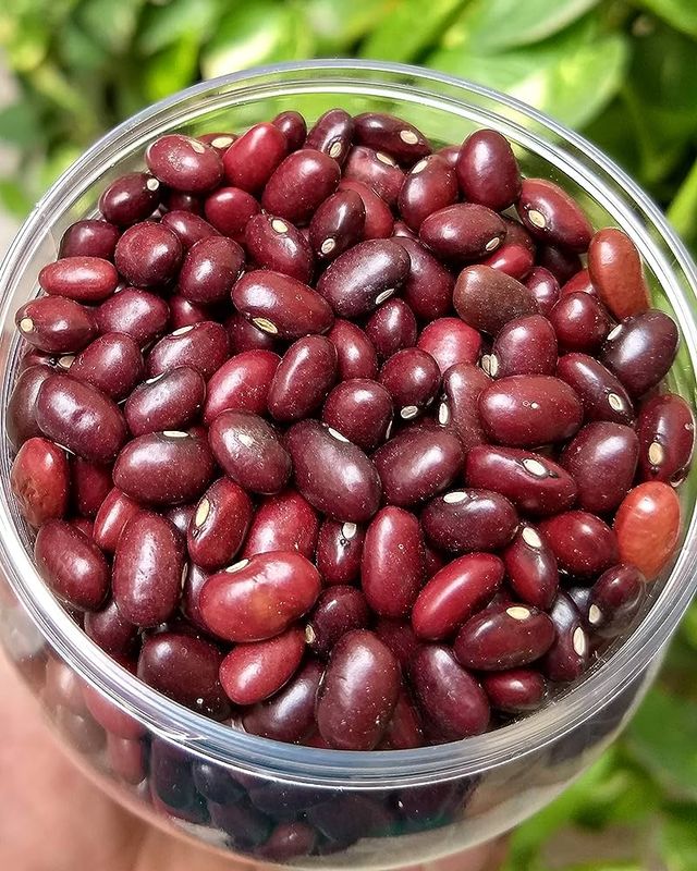 A+PLUS Rajmah Red
